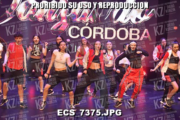 COREO 221