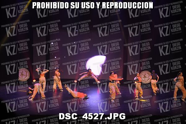 COREO 229