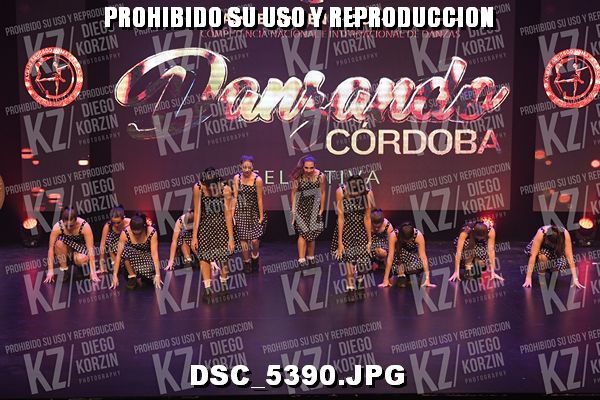 COREO 241