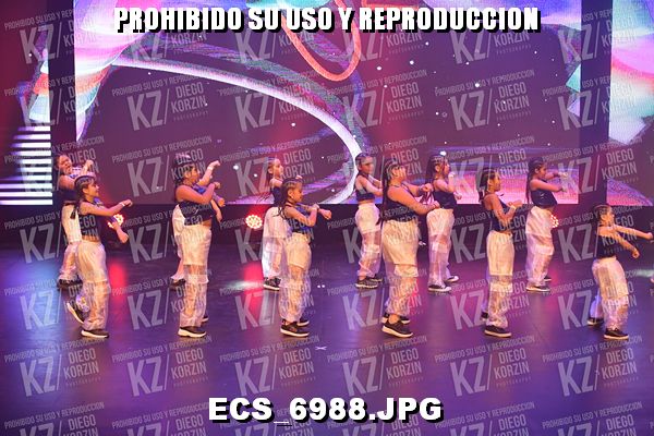 COREO 53