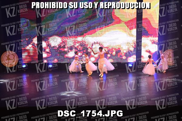 COREO 31