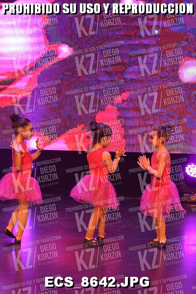 P2 COREO 31