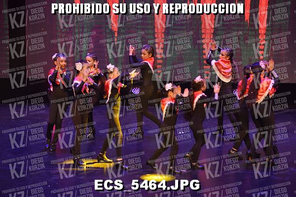 P2 COREO 80