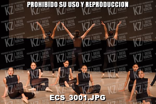 COREO 132