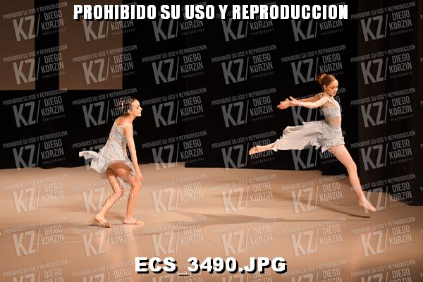 COREO 13