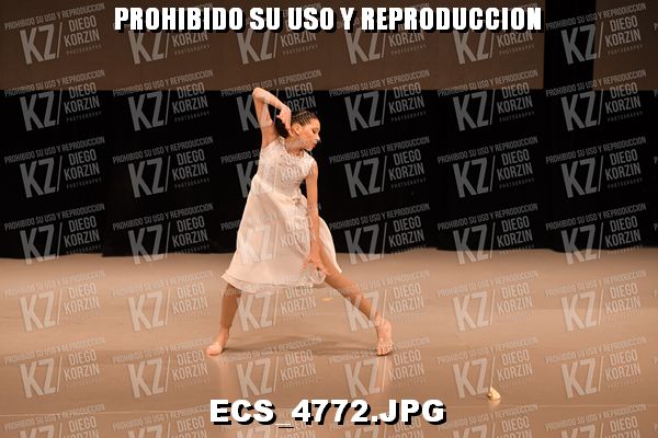 COREO 26