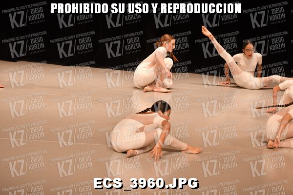 COREO 101