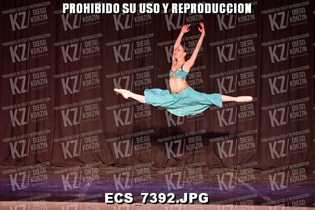 GRUPO C CLASICO 301