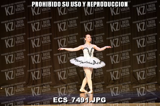 GRUPO C CLASICO 303