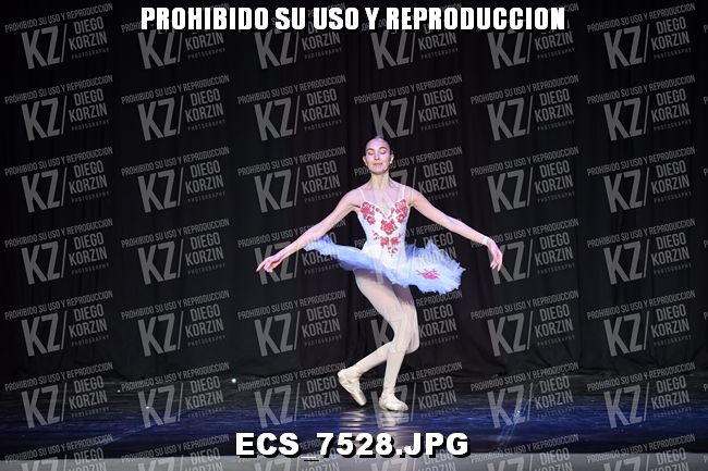 GRUPO C CLASICO 304