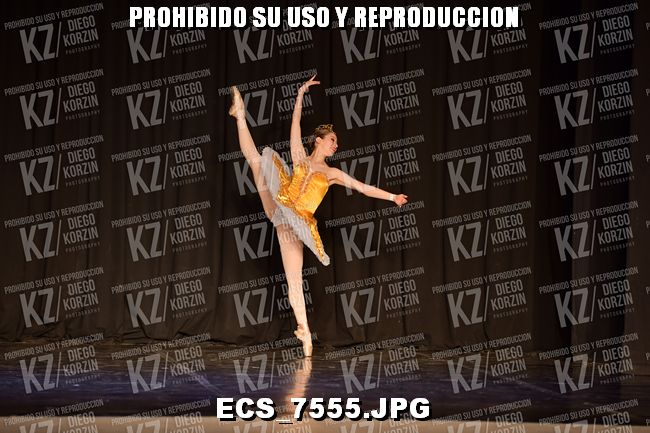 GRUPO C CLASICO 305