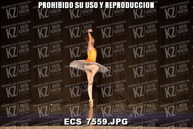 GRUPO C CLASICO 305