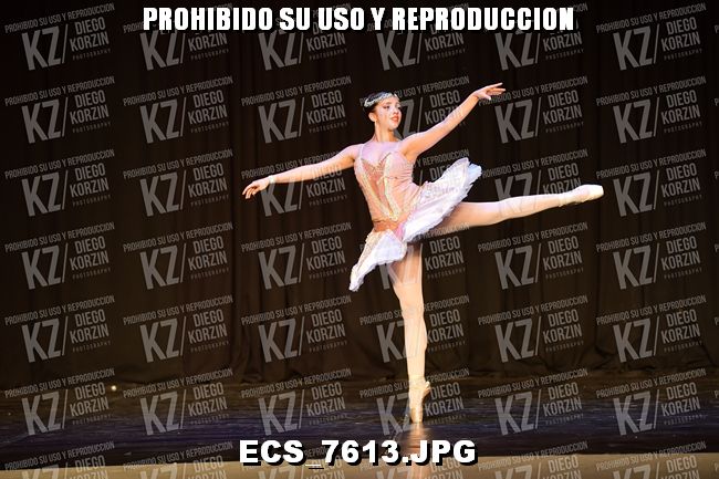 GRUPO C CLASICO 306