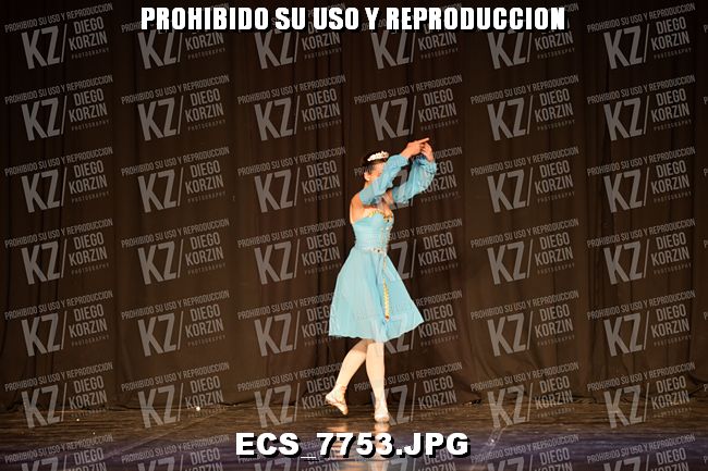 GRUPO C CLASICO 308