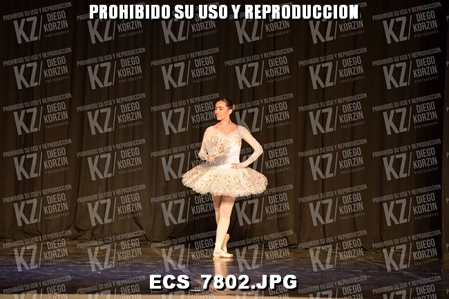 GRUPO C CLASICO 309
