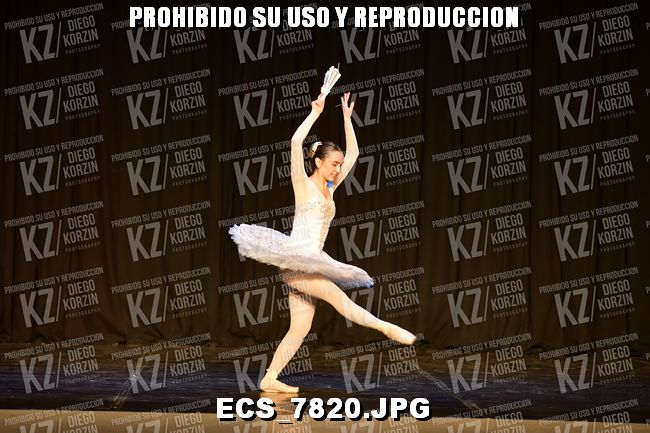 GRUPO C CLASICO 309