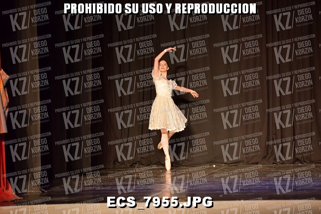 GRUPO C CLASICO 311
