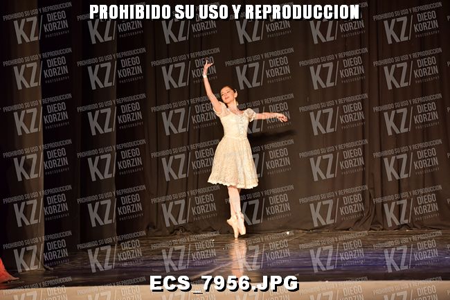 GRUPO C CLASICO 311