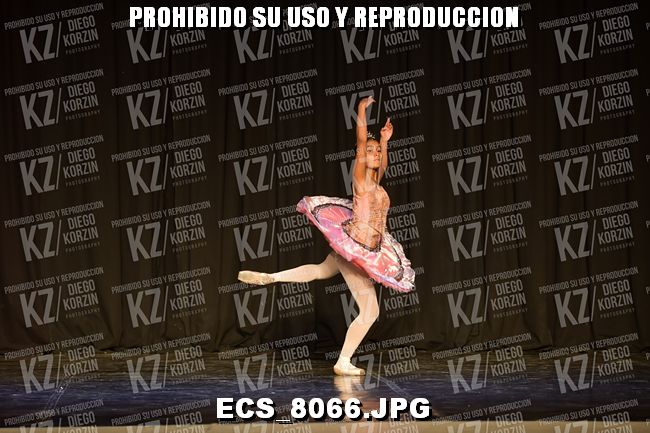 GRUPO C CLASICO 312
