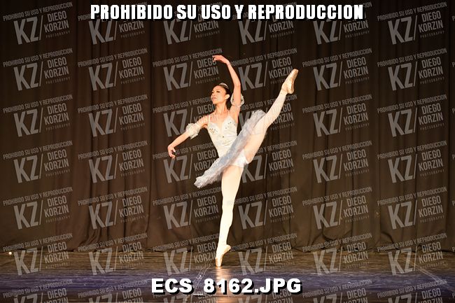 GRUPO C CLASICO 314
