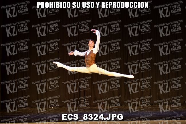 GRUPO C CLASICO 316