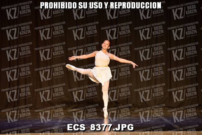 GRUPO C CLASICO 318