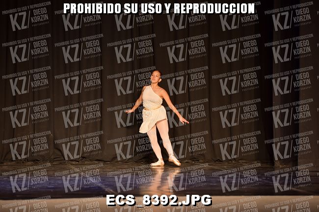 GRUPO C CLASICO 318