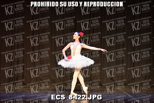 GRUPO C CLASICO 320