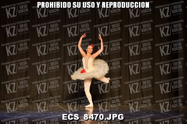 GRUPO C CLASICO 320