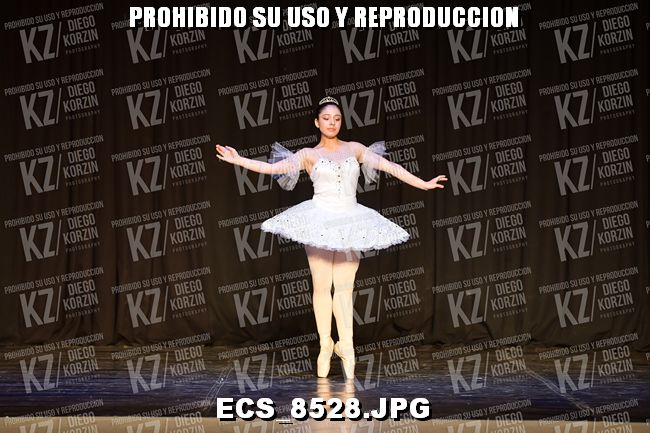 GRUPO C CLASICO 321