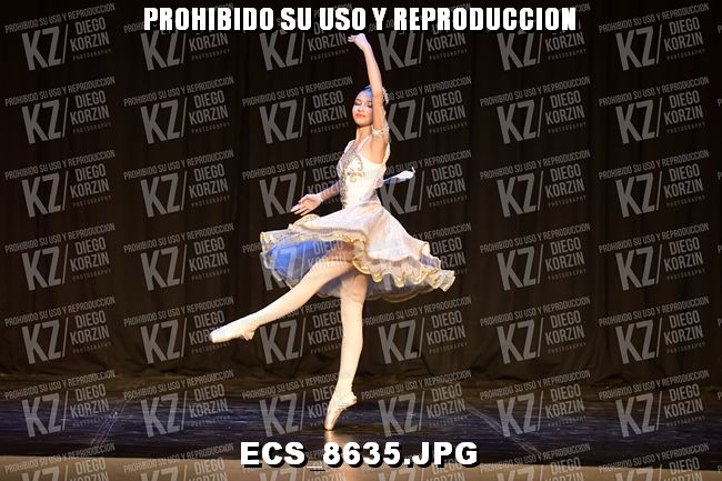GRUPO C CLASICO 322