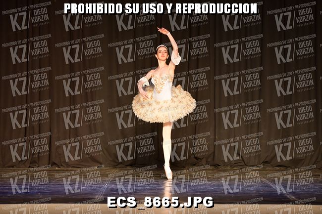 GRUPO C CLASICO 323