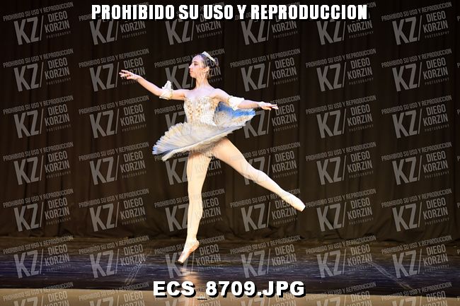 GRUPO C CLASICO 323