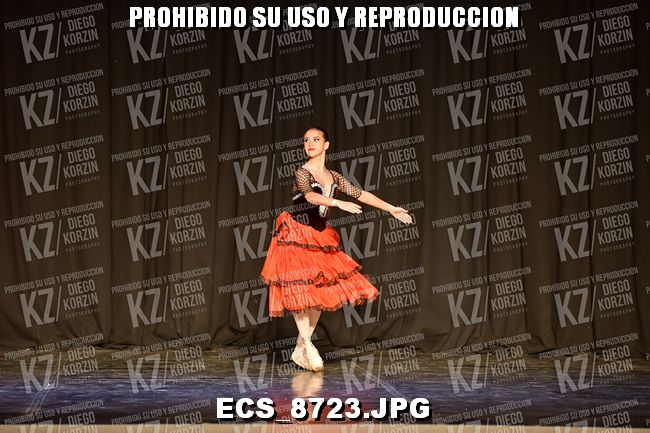 GRUPO C CLASICO 324