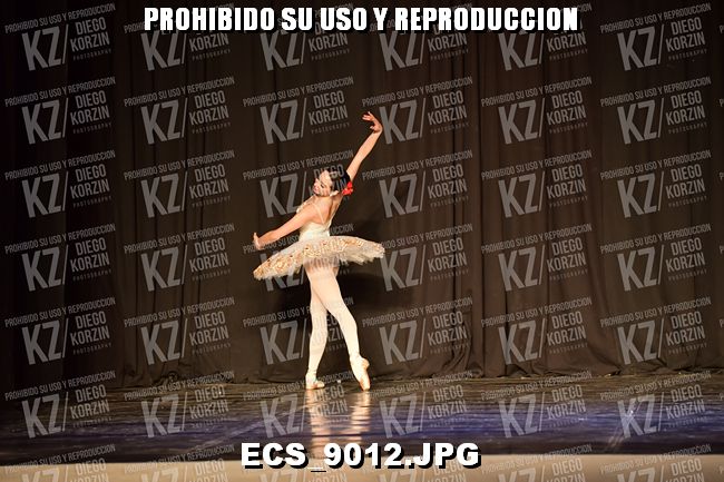 GRUPO C CLASICO 329