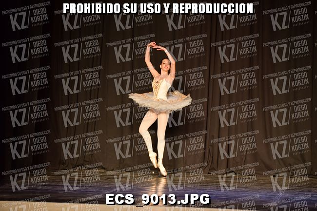 GRUPO C CLASICO 329