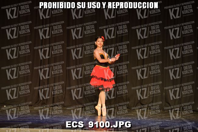 GRUPO C CLASICO 330