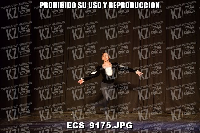 GRUPO C CLASICO 331
