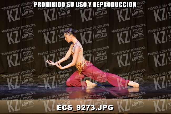 GRUPO C CLASICO 332