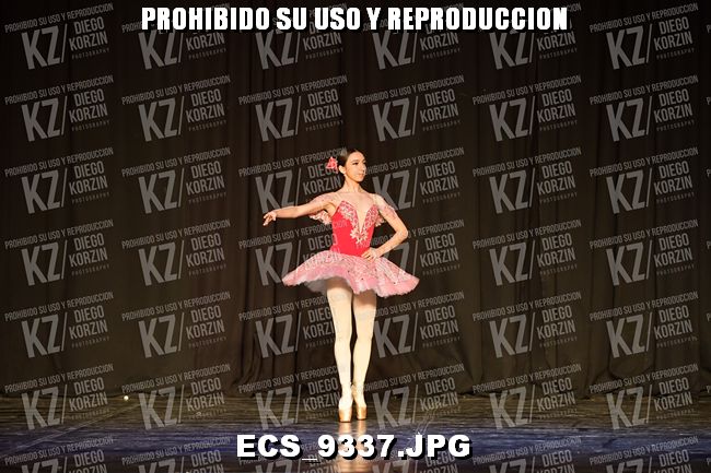 GRUPO C CLASICO 333
