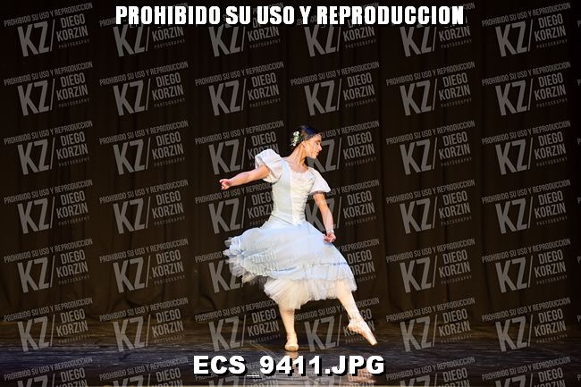 GRUPO C CLASICO 334