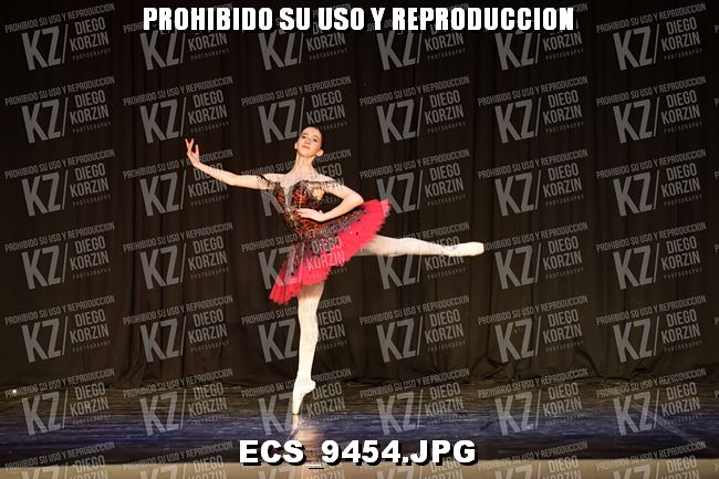 GRUPO C CLASICO 335