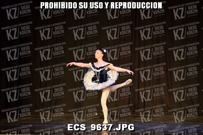GRUPO C CLASICO 338