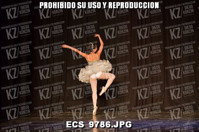 GRUPO C CLASICO 341
