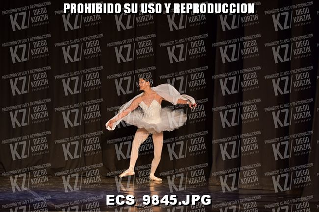 GRUPO C CLASICO 342