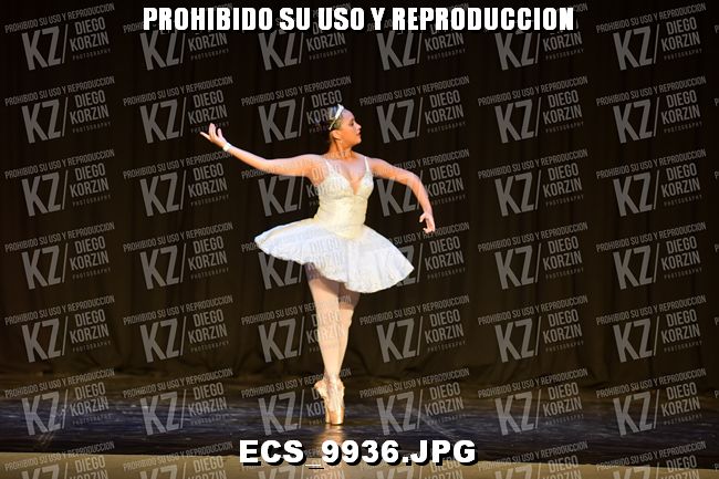 GRUPO C CLASICO 343