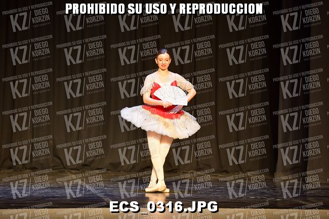 GRUPO C CLASICO 349