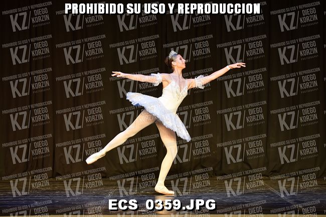 GRUPO C CLASICO 351