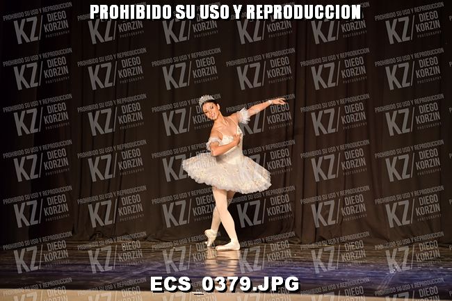 GRUPO C CLASICO 351