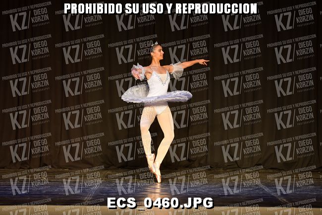 GRUPO C CLASICO 353